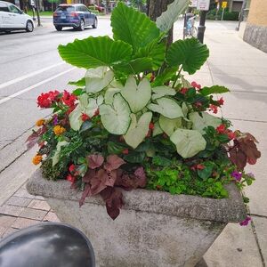 Meet your Posher, Chrystal